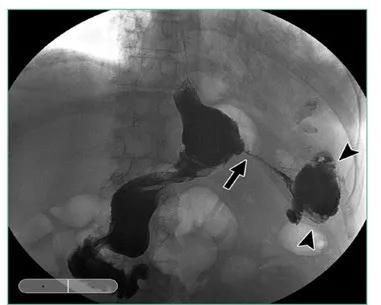 640.webp (28) 640.webp (28)